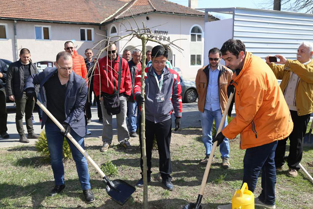 Од Зиђина и парк у Слатини