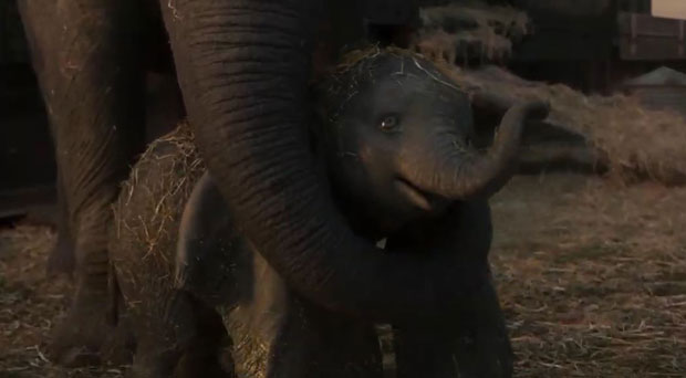 ЧУВЕНО СЛОНЧЕ НА ФИЛМСКОМ ПЛАТНУ: Дамбо стиже у биоскопе (ВИДЕО)