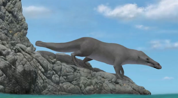 Преци китова су имали четири ноге и копита (ВИДЕО)