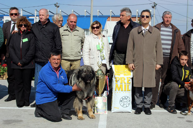Шарпланинац победник Међународне изложбе паса у Јагодини (ФОТО)
