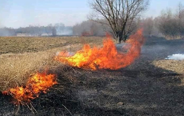 Алармантно у Сивцу: Пламен гута резерват