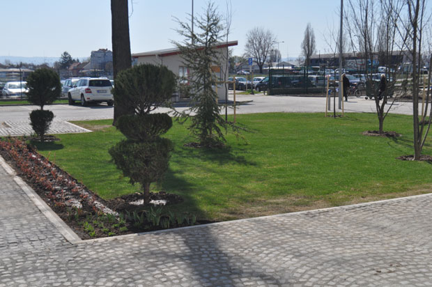 Зелених 16 пројеката