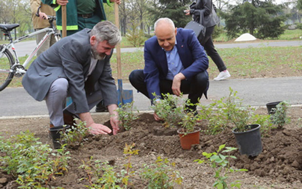 ПРЕДСТАВНИЦИ ГРАДА У ПАРКУ ПРИЈАТЕЉСТВА: Садили руже у знак подршке  

