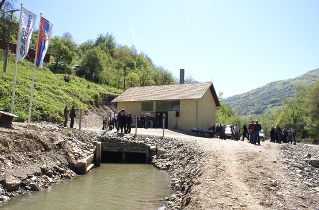 Мини електране уништавају печурке које чувају природу