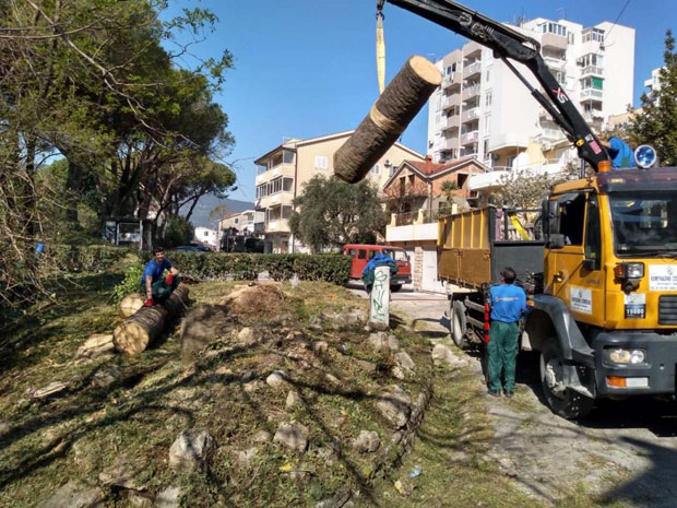 НЕПРОПИСНО БАЦАЈУ ТРАВУ: Казне за одлагање зеленог отпада у Херцег Новом