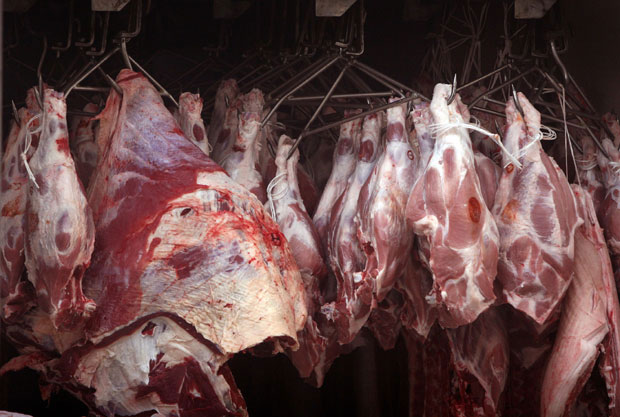 Застој извоза јунетине у Турску привремен