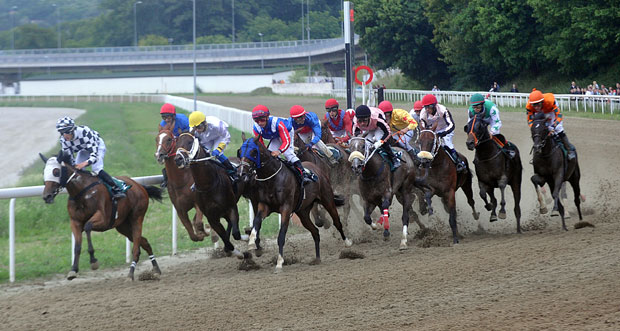 БЕОГРАДСКИ ХИПОДРОМ: Рибникар на старту