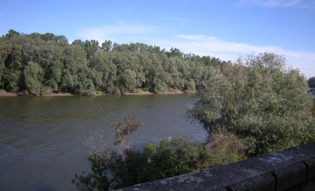 ТРАГИЧАН КРАЈ ПОТРАГЕ: Из Тисе код Кањиже извучено тело мушкарца