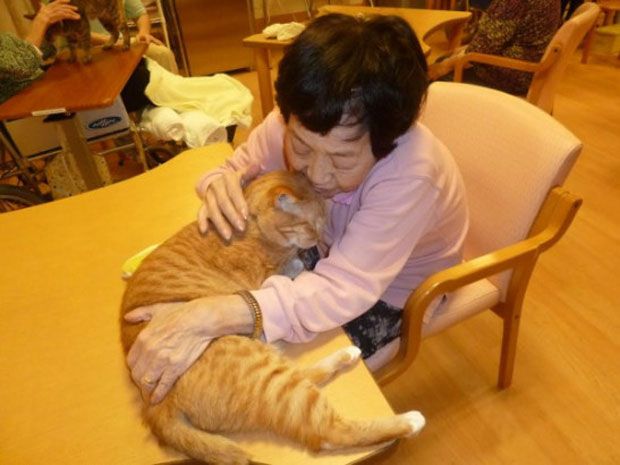 Љубимци драгоцени за здравље власника