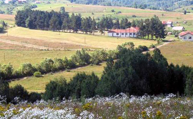 Пештер: Бивши полицајац тукао младиће?