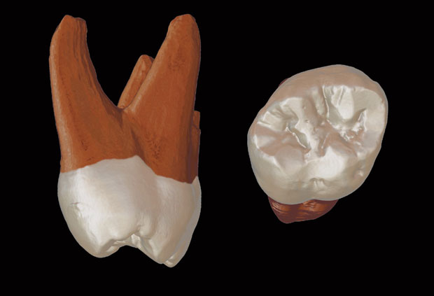 Нађени први остаци неандерталца у Србији