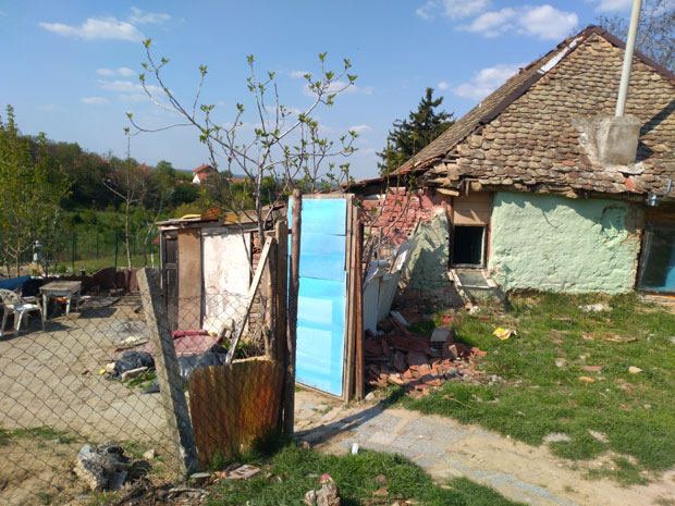 СРЕМСКОКАРЛОВАЧКО НАСЕЉЕ ДОКА: Пас ујео двојицу дечака