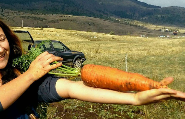 Јединствена башта са џиновским поврћем  (ФОТО)