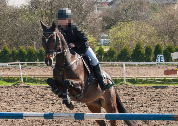 Дете пало са коња на Кошутњаку и повредило главу