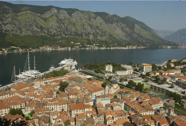 Референдум услов за Јокића