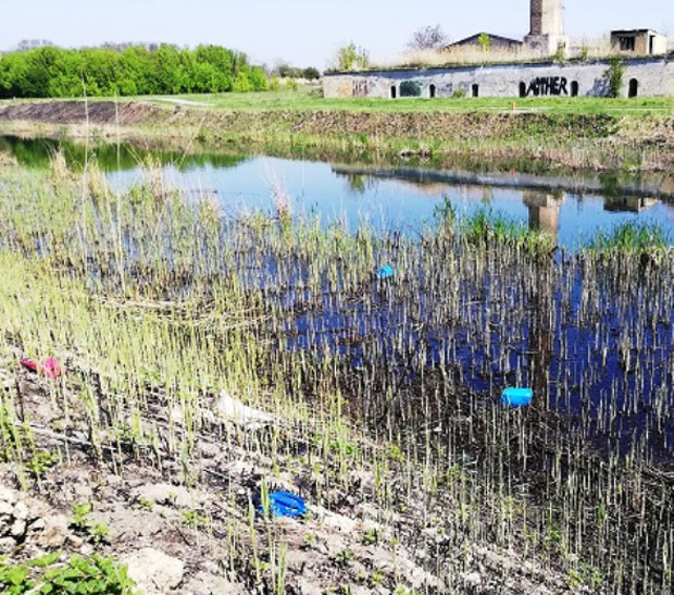 Велики бачки канал: Пингпонг са инспекцијом