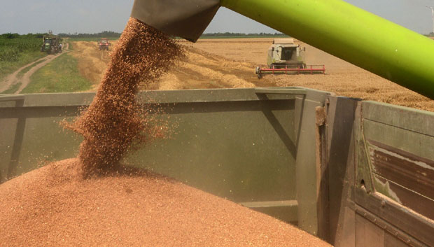 МК Група поново на челу српског аграра