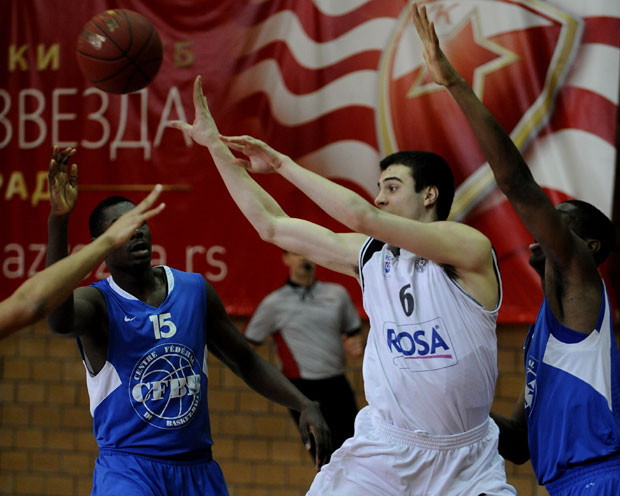 Пушица пред повратком у Партизан