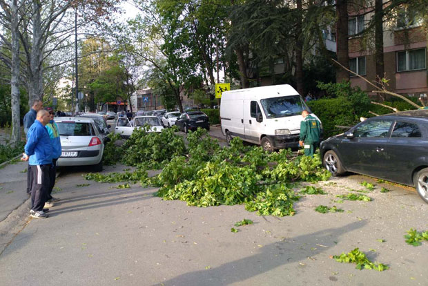 Кошава чисти до петка