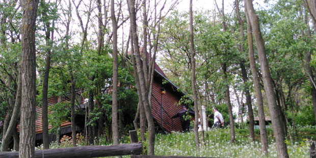 ПРЕОКРЕТ У СЛУЧАЈУ УБИСТВА КРИМИНАЛЦА У ВРДНИКУ: Ухапшена његова супруга и мушкарац