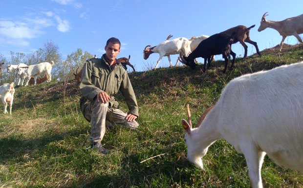 Крај Саве тече река млека