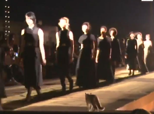 Мачка прошетала пистом током ревије Кристијана Диора (ВИДЕО)