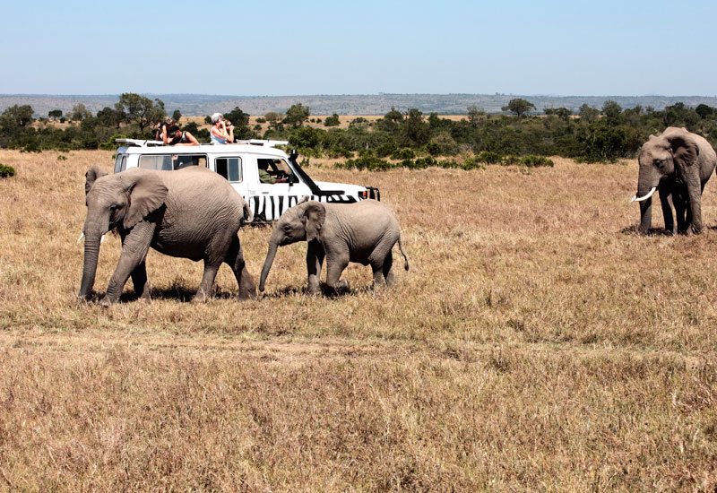 Француски туристи и водич нестали на сафарију у Бенину