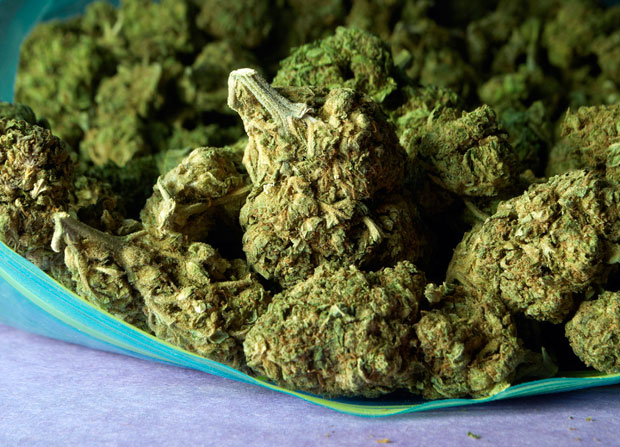 Стефан Митровић наручио дрогу преко Фејсбука