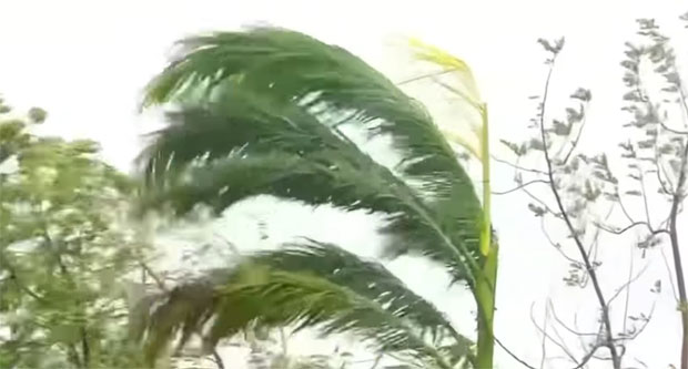 ЦИКЛОН ФАНИ НОСИО СВЕ ПРЕД СОБОМ: Ветар чупао дрвеће, погинуло најмање 12 људи