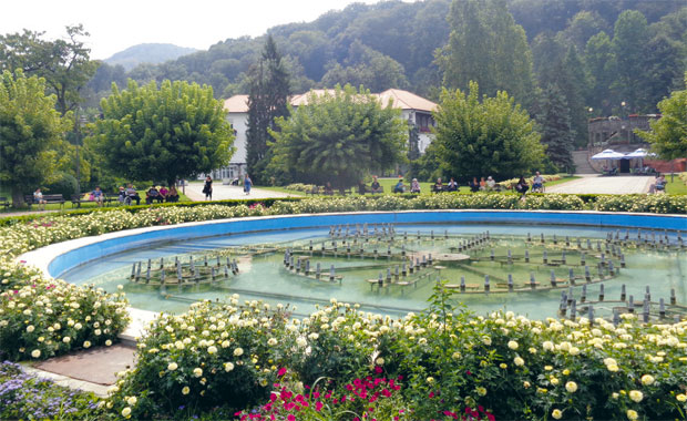 Јапанска фонтана понос Ковиљаче