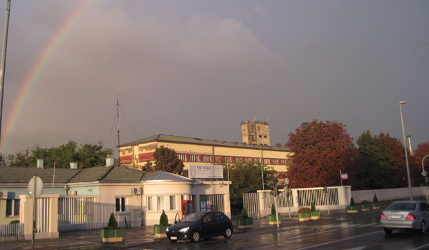 Еликсир - једини понуђач за Зорку