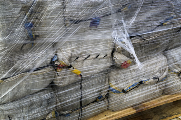 Рекордна заплена дроге у Украјини, 19,5 тона кокаина