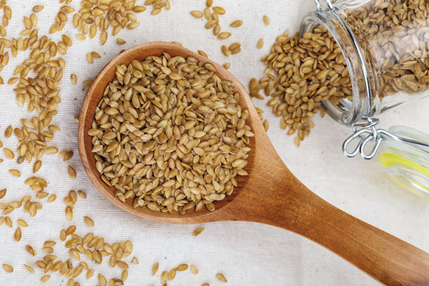 ДЕЛОТВОРНОСТ ЛАНА: Jача организам, чисти кожу