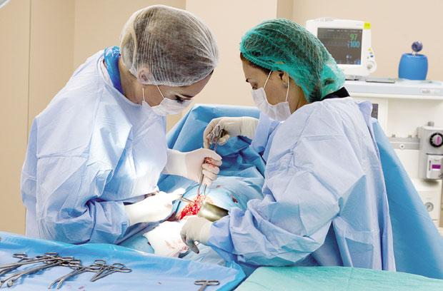 Нове терапије до краја године?