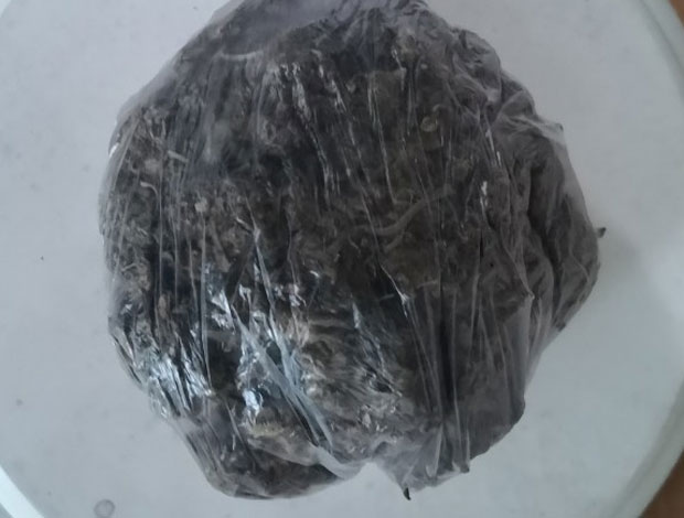 АКЦИЈА КРАЉЕВАЧКЕ ПОЛИЦИЈЕ: Дилер у притвору