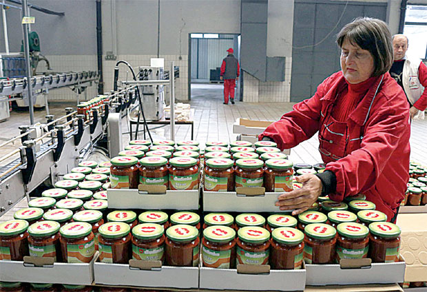 Будимка чека препород