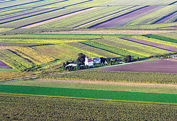 Војводина: Њивe отете у катастрима?