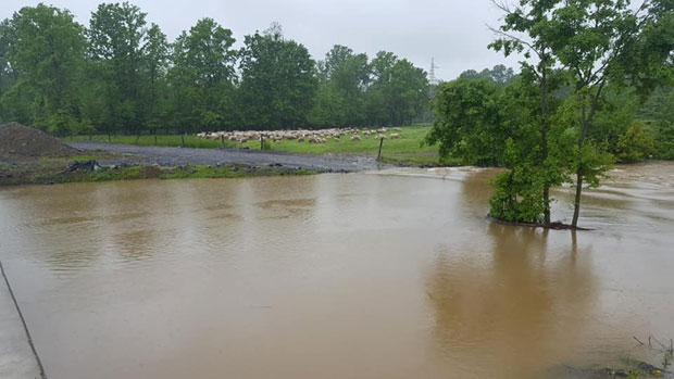 НЕЋЕ СЕ ПОНОВИТИ 2014: Падавине јењавају, нема места паници! (ФОТО)