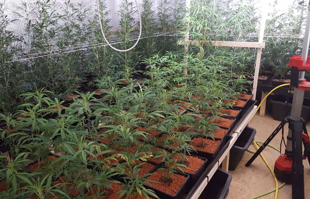 МЕЂУНАРОДНА АКЦИЈА ПОЛИЦИЈЕ: Заплењено више од 120 килограма дроге, ухапшено седам особа (ВИДЕО)