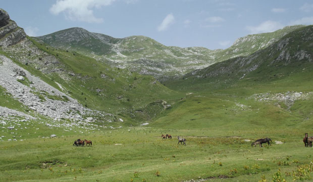 СУДБИНА СИЊАЈЕВИНЕ: Уместо парка, полигон