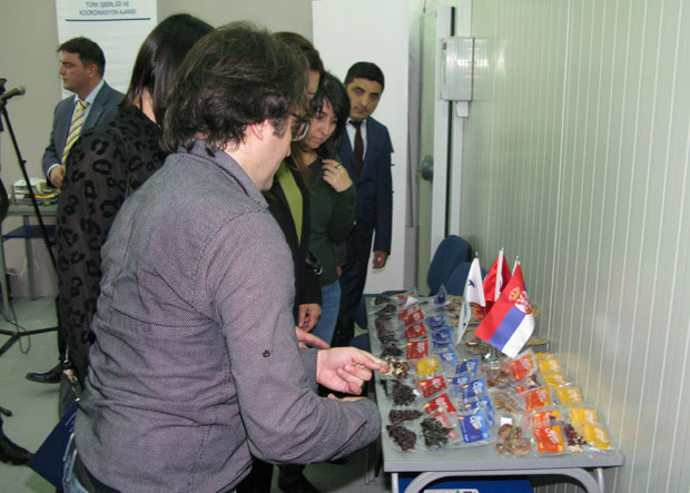 Министарство и Тика запослили инвалиде