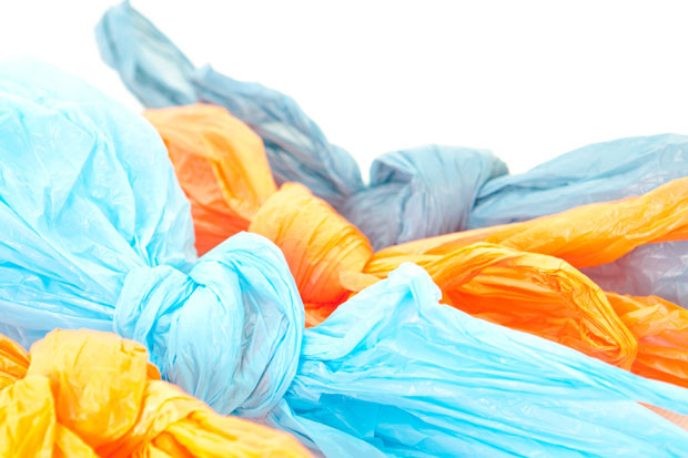 Анкета: Пластичне кесе нису највећи еколошки проблем