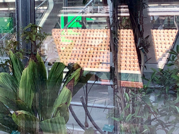 ТЕНИС У БОТАНИЧКОЈ БАШТИ: Терени на Ролан Гаросу потпуно реновирани