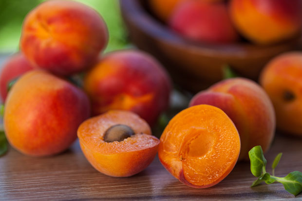 Србија поново извози коштичаво воће у Русију