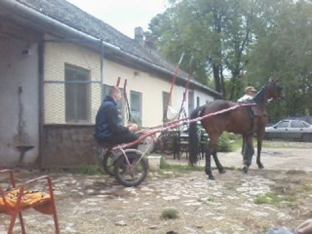 ПЛАНОВИ НБА ЗВЕЗДЕ: Јокић жели хиподром у Сомбору