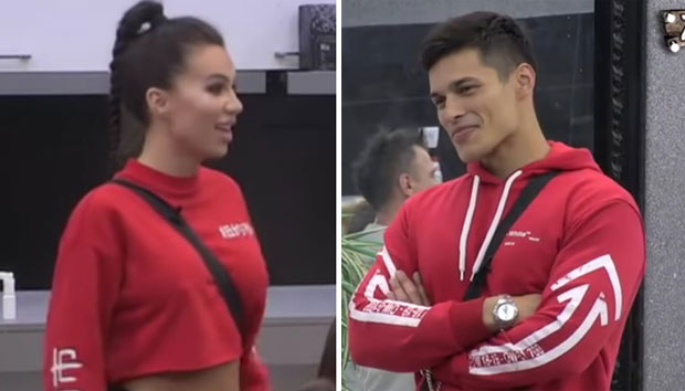 Лептирићи Станије и Марка