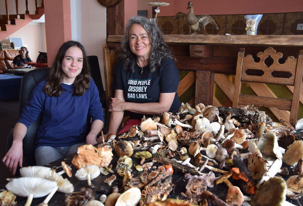 Поруке са „Дана гљива“: Отров вреба чак и из шампињона!
