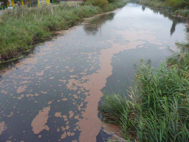 Крај агоније Бачког канала