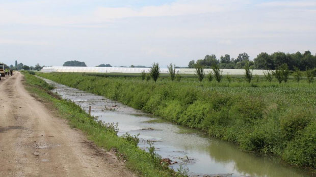 Понавља се сетва, киша “десетковала” род