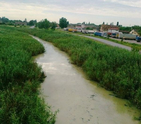 Европа ће уклонити 400.000 кубика муља из Великог бачког канала